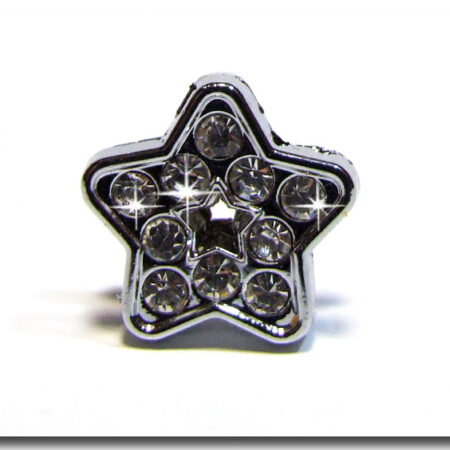 Schmuck für das Halsband * STAR *