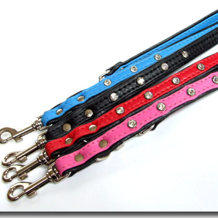 Lederleine BLINK 2 m Lang verstellbar für kleine Hunde