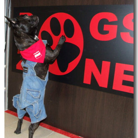 Jeanshosen LITTLE JUMPER