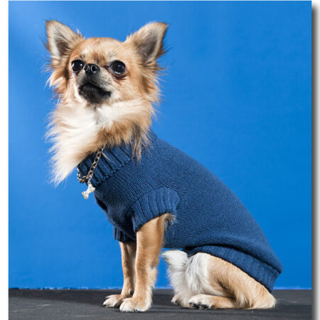 Hundepulli ,Pullover für Hunde *BLUE CAGNOLINO *