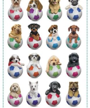 Keith Kimberlin - Football dogs Hunde Poster