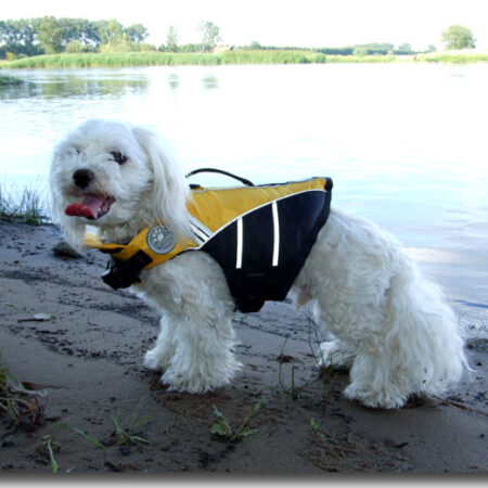 Schwimmweste für den Hund YELLOW