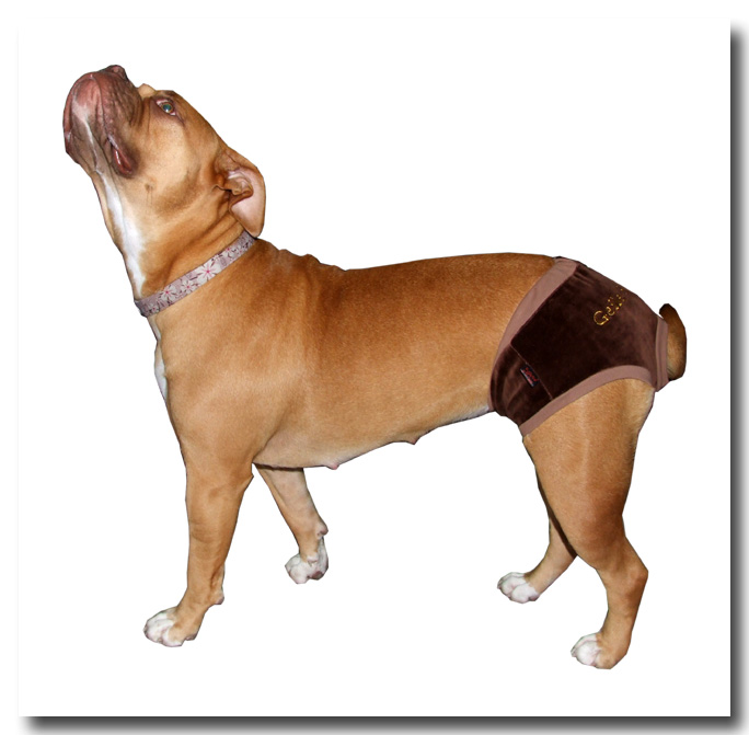 Schutzhöschen * DogsZone * GEILE SCHNITTE !