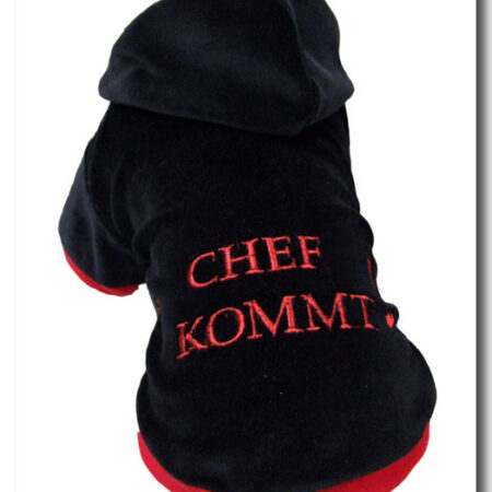 Jogger ,Pullover für Hunde DogsZone * CHEF KOMMT *Restposten