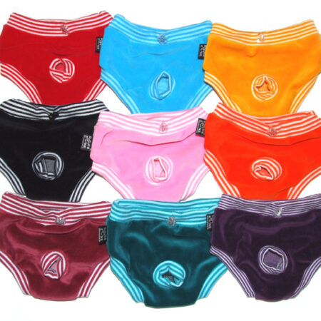 Schutzhöschen Hunde Höschen * DogsZone * CRAZY