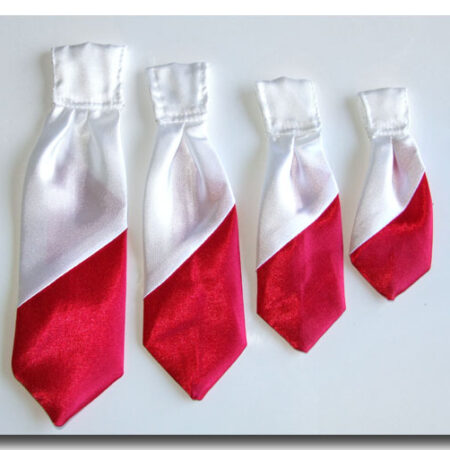 Krawatte auf Halsband POLEN