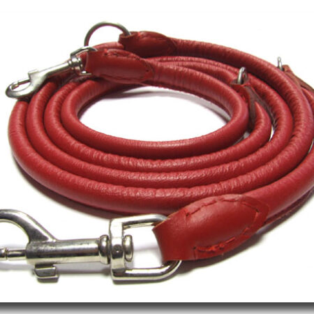 Rundlederleine,Lederleine 2,25 m Lang,10mm BUNT