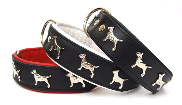 Lederhalsband "Bullterrier" 55 cm lang
