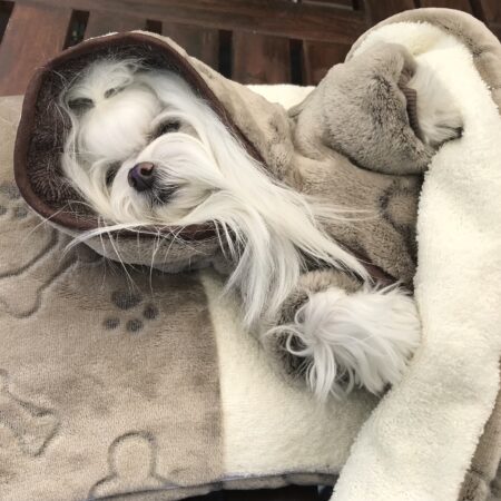 3 in 1 Handtuch, Schlafsack, Decke BROWN BONE