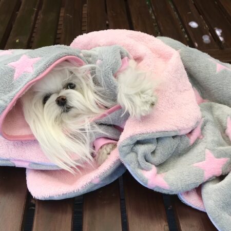 3 in 1 Handtuch, Schlafsack, Decke GREY ROSA STAR Gr.2