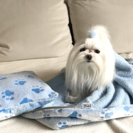 3 in 1 Handtuch, Schlafsack, Decke PAW BLUE