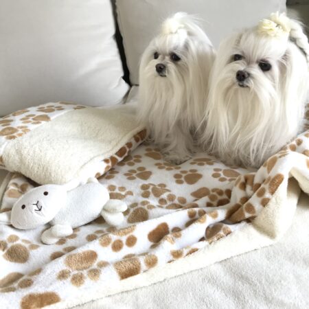 3 in 1 Handtuch, Schlafsack, Decke PAW CREME