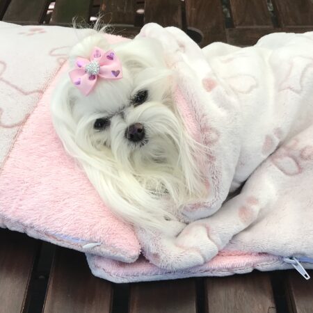 3 in 1 Handtuch, Schlafsack, Decke ROSA BONE