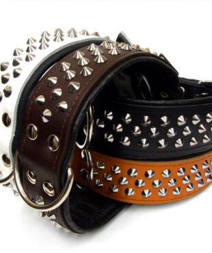 Lederhalsband BIG DOG mit NIETEN Gr.3