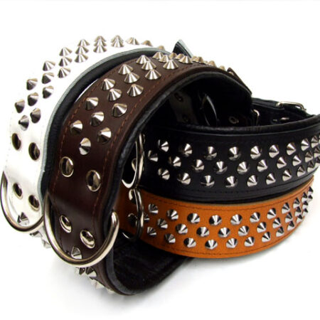Lederhalsband  BIG DOG mit NIETEN Gr.3