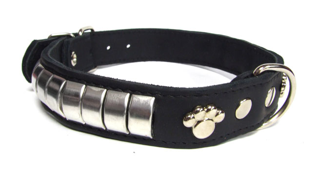 Fettlederhalsband mit Nieten