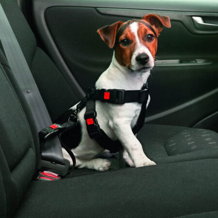 Auto Sicherheitsgeschirr BLACK