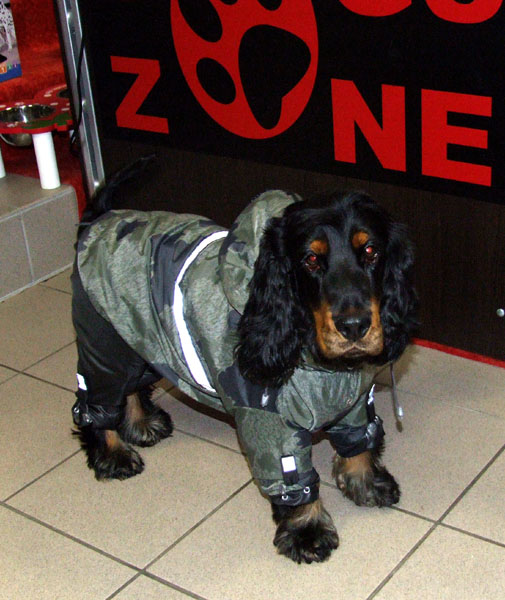 EINZELSTÜCK Gr.2 Hunde Winteranzug und Jacke 2 in 1 * SNOW CRAWLER *