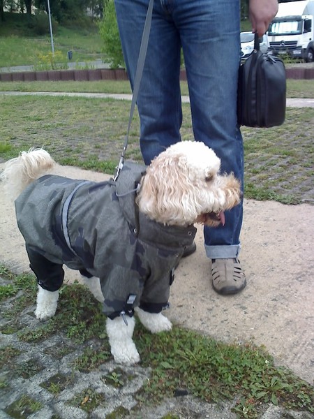 EINZELSTÜCK Gr.2 Hunde Winteranzug und Jacke 2 in 1 * SNOW CRAWLER *