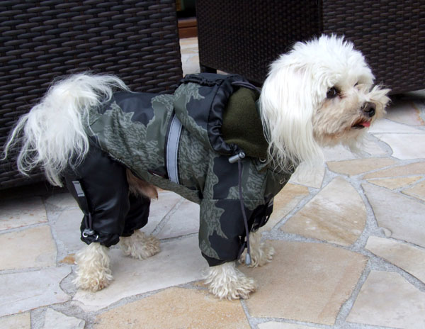 EINZELSTÜCK Gr.2 Hunde Winteranzug und Jacke 2 in 1 * SNOW CRAWLER *