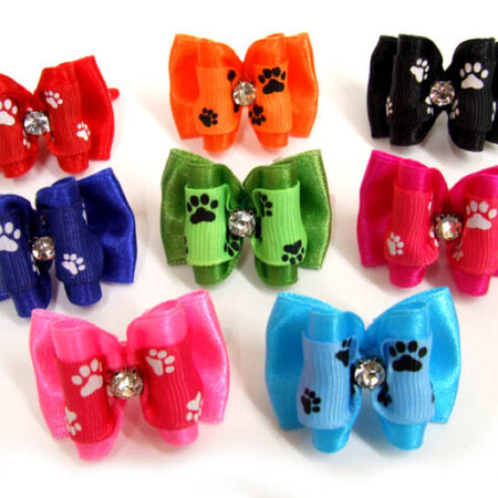 Schleife BIG PAW GLAMOUR