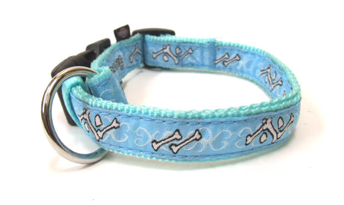 Halsband Sportdog BLUE