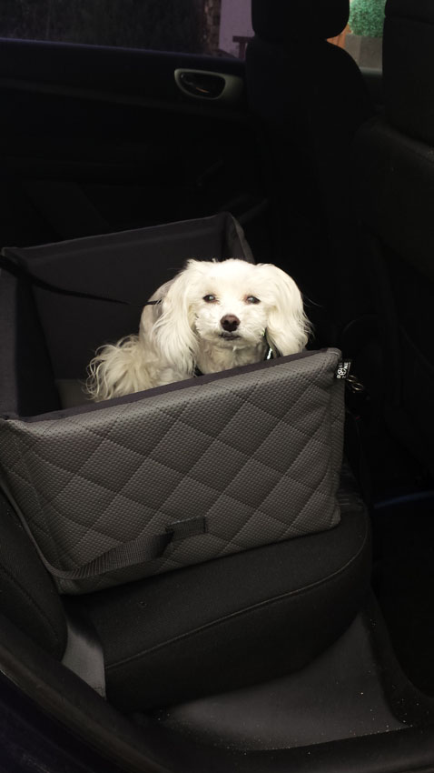 Hundeautositz Autokörbchen DE LUXE GREY Elegance