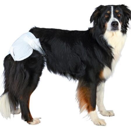 Hundewindeln für Weibchen 1 Stück Inkontinenz,Nacht