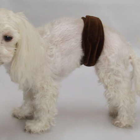 Rüden Inkontinenz-Band für den Hund *BRAUN*