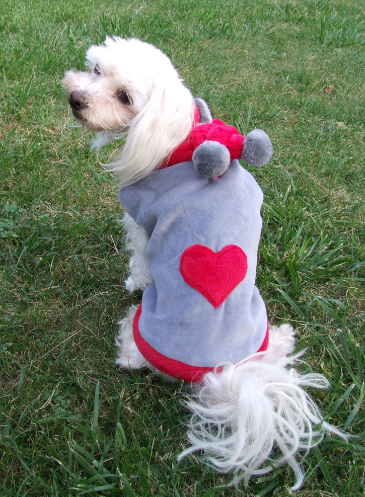 Hundepulli BIG HEART GREY/RED RESTPOSTEN