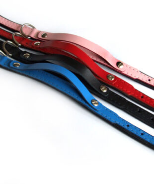 Lederhalsband für Personalisierung - Hundename * GLAMOUR *