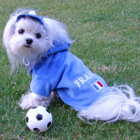 Hunde Sweatshirt FRANCE