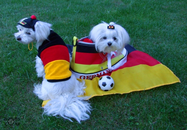 Hunde Fussball  Sweatschirt FLAGGE DEUTSCHLAND