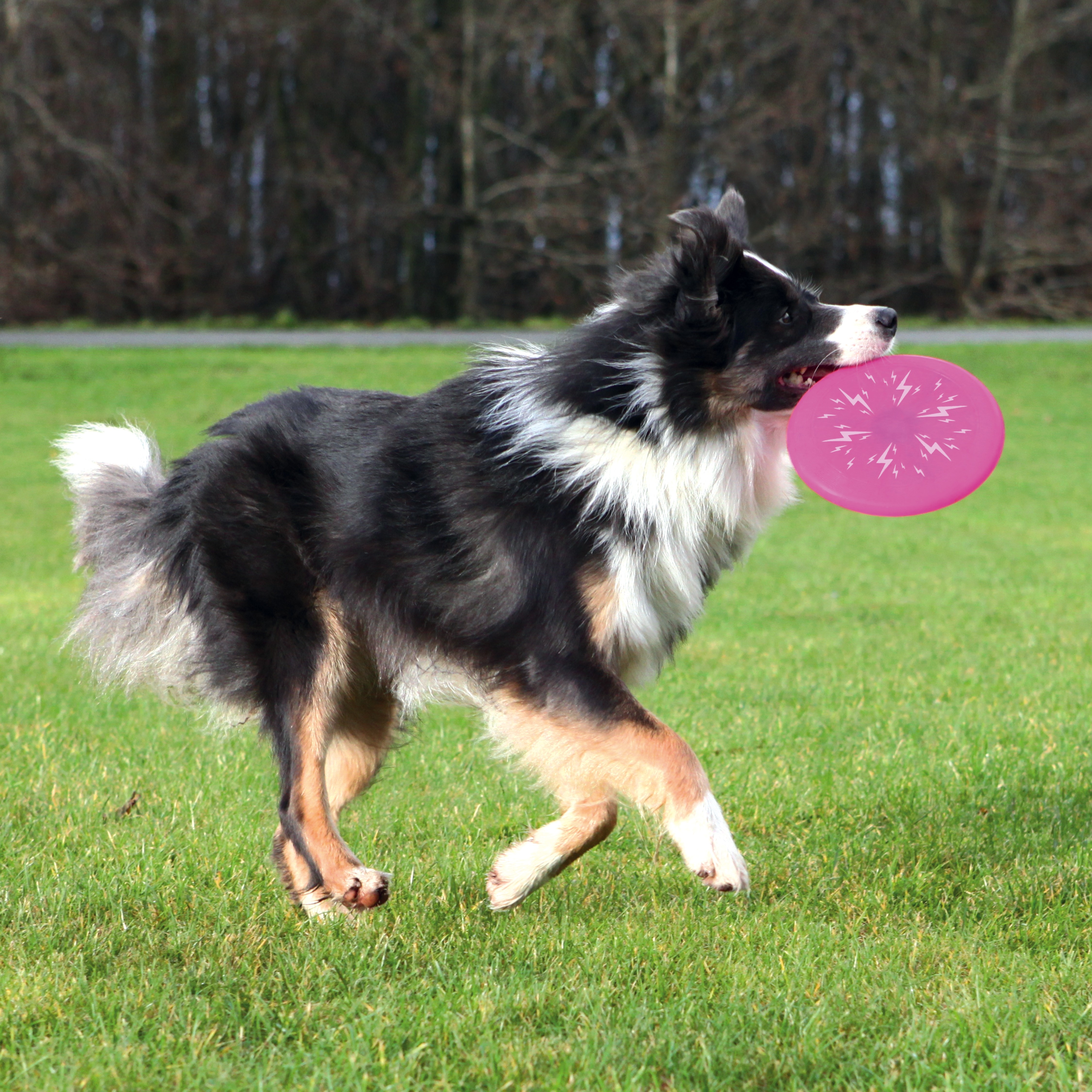 Flash Dog Disc, Silikon blinkt mit Licht