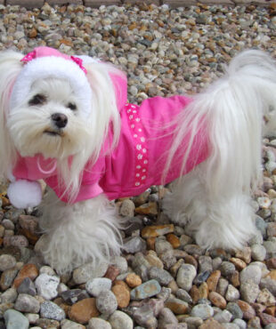 Hundejacke,Winterjacke mit Schal NESNA PINK