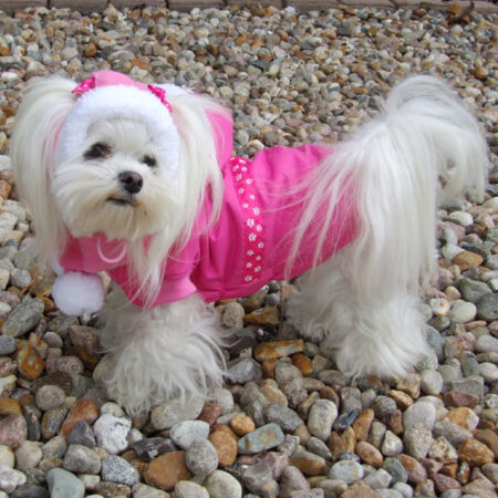 Hundejacke,Winterjacke mit Schal NESNA PINK