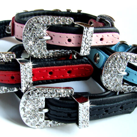 ``Juwel``Leder-Halsband inkl.Buchstaben``HUNDE-NAME``Gr.4