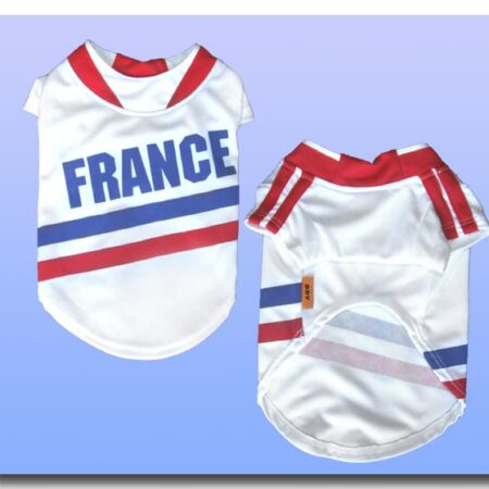 FUßBALL TRIKOT FRANKREICH