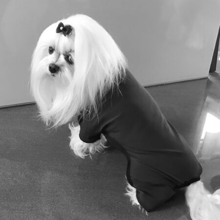 Ausstellungsanzug / Wickelanzug  BLACK