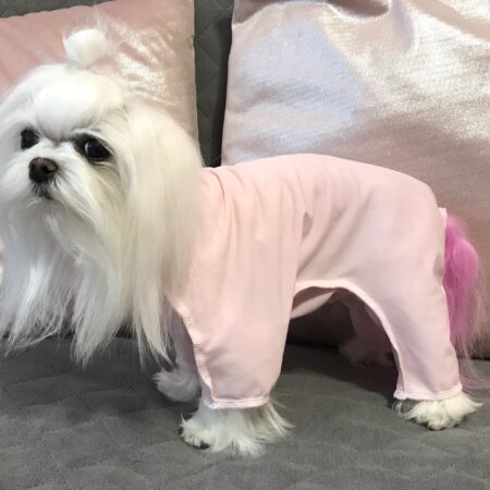 Ausstellungsanzug / Wickelanzug  / Schutzanzug ROSA