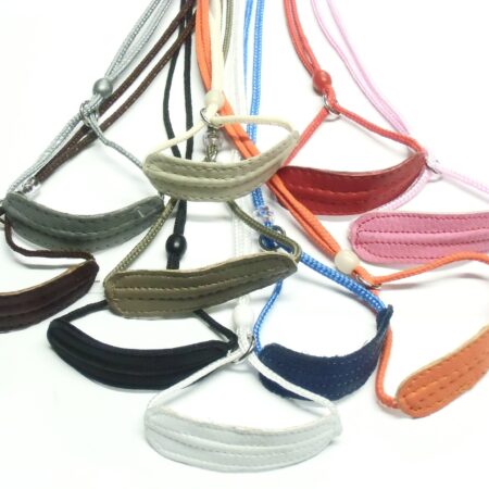 Ausstellungsleine 2 mm mit LEDERHALSUNG