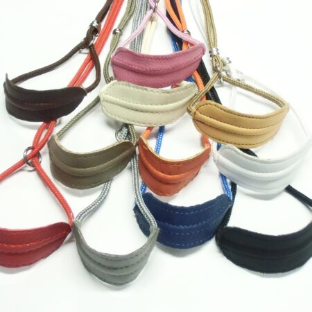 Ausstellungsleine 4 mm mit LEDERHALSUNG