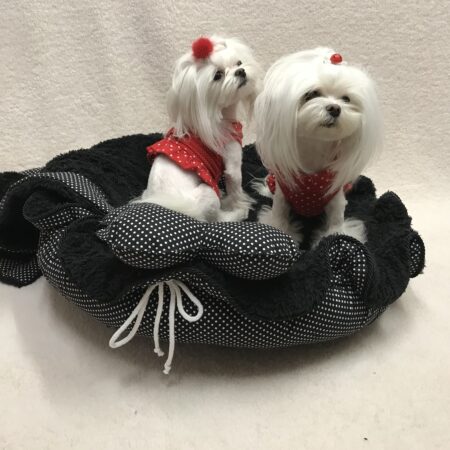 BLACK FLOWER Hundebett Limited Edition