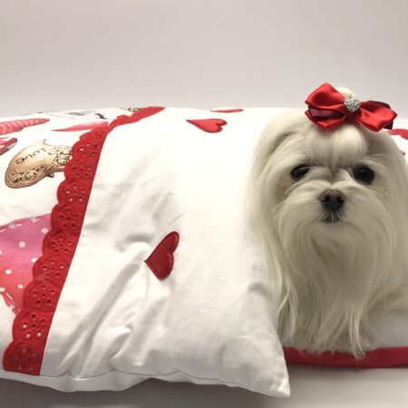 Bettdecke mit Kissen BiG RED HEART