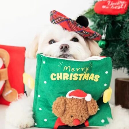 Buch Christmas Schnüffelspiel Hunde,Katzen
