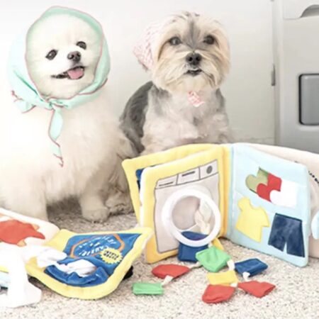 Buch  It’s Laundry Day Schnüffelspiel Hunde,Katzen