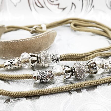 CHAMPION MOCCA Vorführleine,Ausstellungsleine 4 mm Lederhalsung