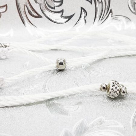 DREAM WHITE Vorführleine,Ausstellungsleine 2 mm geflochten