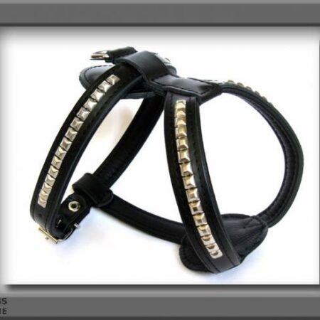 De Luxe Hunde Leder--Geschirr Gr.1 verstellbar 40-47cm