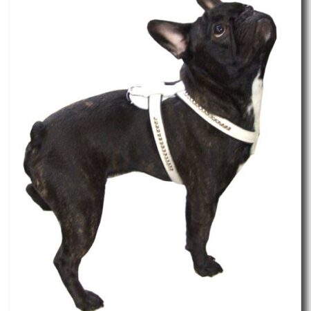 De Luxe Hunde Leder--Geschirr Gr.2 verstellbar 48-57cm